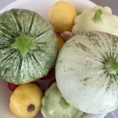 Home gardener trying to figure out how to grow a garden in inland San Diego County
YouTube: https://t.co/JYxLTbTfOM