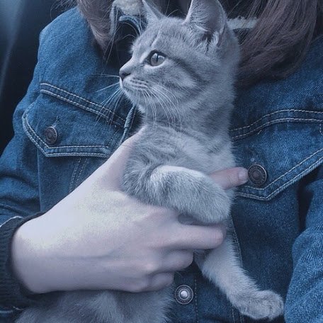 fadlyanadizzahr's profile picture. Belajar berteman baik dengan pikiran sendiri