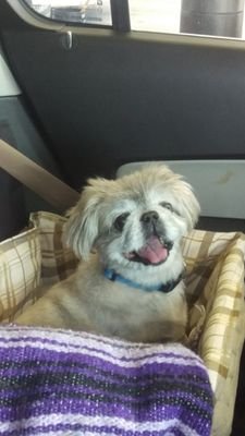 MrDangerWafflez's profile picture. 