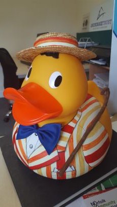 Hello I'm Duck Van Dyke, proud to be taking part in @norwichduckrace for the amazing @breakwriter supporting @anchoragetrust painted by @plant_creative #NGDR16
