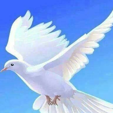 I have only a hand-full of really close friends. I do have a lot of people I consider friends though.It is better to be hated for what you are than to be loved