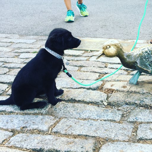 mrsmarsallo's profile picture. 