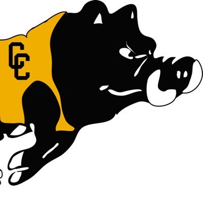 Official Twitter of the Colquitt County Lady Packer Softball Team. Region 1-AAAAAAA. Head Coach: Chance Pitts