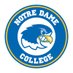 NDC Softball 🥎 (@ndcsoftball) Twitter profile photo