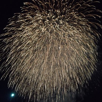 a_n_e_m_o_n's profile picture. 