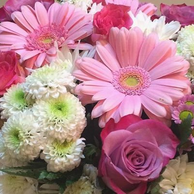 i_H_F66's profile picture. اسألك يا الله حسن الخاتمة وأثرًا حسنًا ينمُو بعد رحيلي ، كسنابلٍ من نُور ، حتى يصل الضياءُ إلى قبري🌿.