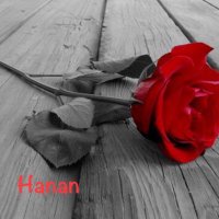 حبيب الكل (@qwqoxyk8mjdn2xs) 's Twitter Profile