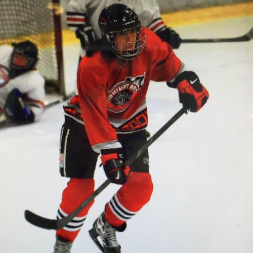 icyshosh's profile picture. hockey, robots, fancy cakes, building things and moving them around the world