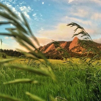 bocohome's profile picture. All things real estate in Boulder, CO!