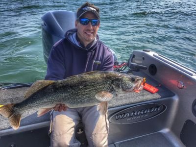 bzarembski's profile picture. 