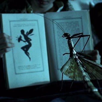 weirding_way's profile picture. Geek, horror & stuff