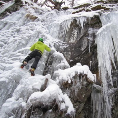 pirlotpo's profile picture. 