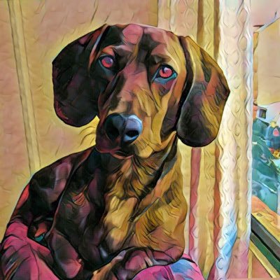 inescaradepez's profile picture. There are two rules in life:       1. never give all information