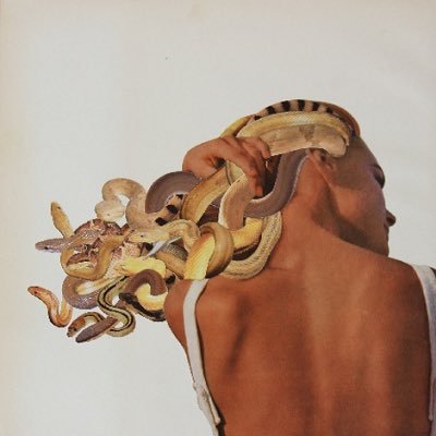 wabisabi____'s profile picture. 