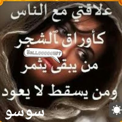 hzr4sWQ36Kd6GP3's profile picture. 