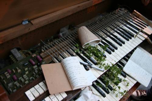 TRASHED ORGAN is a Newcastle based literary and music events company directed by John Challis