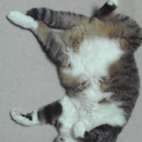 AO-@ (@aidasu8) 's Twitter Profile