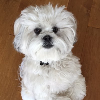 MurphMamma's profile picture. 