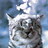 Cathe89's profile image