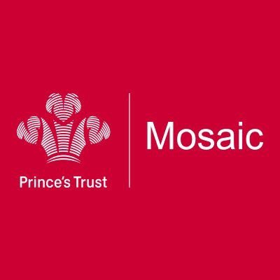 Mosaic NW creates opportunities for young people in most deprived communities, championed by Muslims. Mosaic was founded by HRH The Prince of Wales.