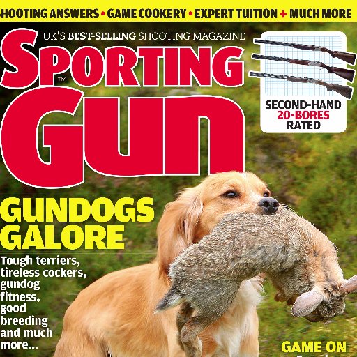 Gundog training to pigeon shooting, game shooting to wildfowling.