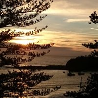 Maree Dennis (@maree_dennis) 's Twitter Profile