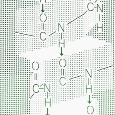 Fundación Biofísica Bizkaia Fundazioa #Biophysics #science #spinoffs #education #innovation