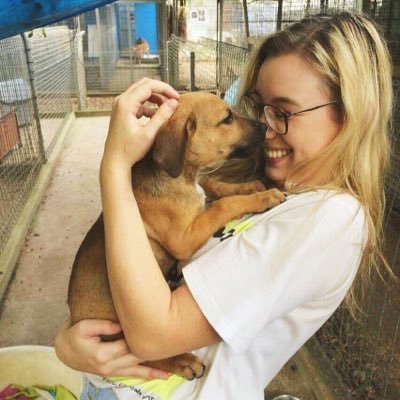 bronoPIE's profile picture. Take criticism, smash it into dust, add colour & use it to paint breathtaking images of unicorns frolicking through endless fields of greatness. - M.G. Gubler