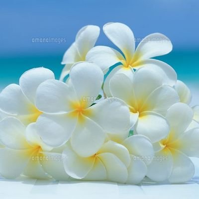 松坂 孝 10breez Twitter