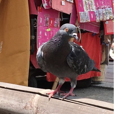 鈴村さんのプロフィール画像