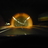 cdma18's profile image
