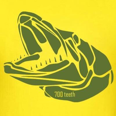 700_teeth's profile picture. Fly fishing for pike! Part of Partridge of redditch and Regal vise pro team! Free lancing journalist for several magazines! +1000 YouTube subs!  #700teeth