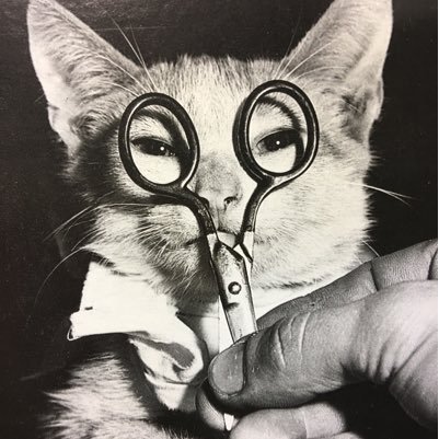 つむぎぷーさんのプロフィール画像
