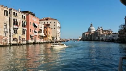 culturedchica84's profile picture. 