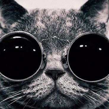 yair8433's profile picture. 