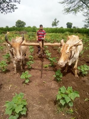 umeshpatil635's profile picture. Umesh Patil 28 yrs
#softwareEngineer
5.7 yrs experienced #Dotnet 

Domain knowledge :
#Ecommerce
#ToursandTravels
#DENTALASSOCIATION
#Education