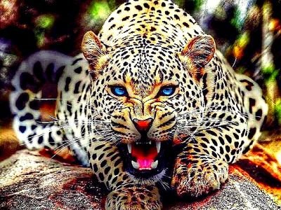 drag824's profile picture. 