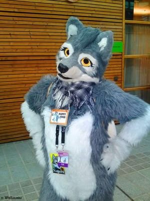 I am just a cute, fluffy, social thing what live her live. On my 30.
Nature, Pemberley, Schecki are my Fursuits!
Engaged to @Semmythedragon