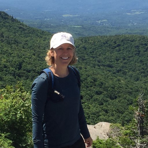 medschaefer's profile picture. English Department Supervisor and English Teacher, reader, observer, proud introvert