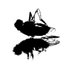 Dead Fly Media (@deadflymedia) Twitter profile photo Dead Fly Media (@deadflymedia) Twitter profile photo