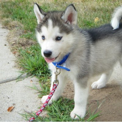 LuckyLeithold's profile picture. Hanna & Lou mes keh // leader de la #luckykehteam