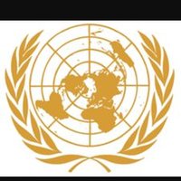 MDN Model UN (@mdnmodelun) 's Twitter Profile