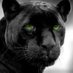 Sac City Express (@saccityexpress) Twitter profile photo Sac City Express (@saccityexpress) Twitter profile photo