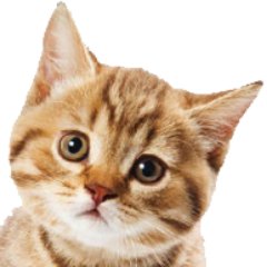 ___@___