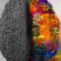The Brain Project (@brainprojectbu) 's Twitter Profile