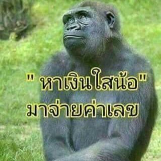 รักจริง