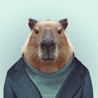 카피바라 (@capybara_korea) 's Twitter Profile Photo 카피바라 (@capybara_korea) 's Twitter Profile Photo