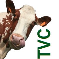 Towcester Farm Vets (@towfarmvets) 's Twitter Profile