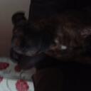 paris cooper - @parilou12 - Twitter