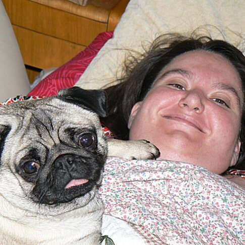 Crazy (Bipolar) Bi Crip (Sacral Agenesis CKD kidney stones) kept relatively sane by my wife & my lil zoo of Pixie (Boston terrier) + 7 cats! Rip Piggy pug